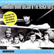 Brian Wilson: Maximum Brian Wilson & The Beach Boys (The Unauthorised Biography Of Brian Wilson & The Beach Boys)