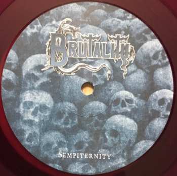 LP Brutality: Sempiternity LTD | CLR 439614