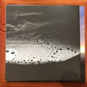 2LP Bryan Beller: Scenes From The Flood 552483