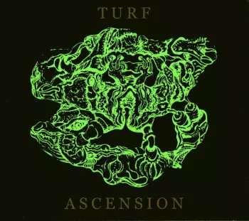 Turf Ascension