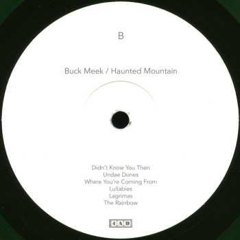 LP Buck Meek: Haunted Mountain CLR | LTD 578378