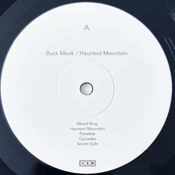 LP Buck Meek: Haunted Mountain 576288