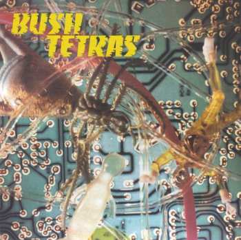 Album Bush Tetras: There Is A Hum / Seven Years