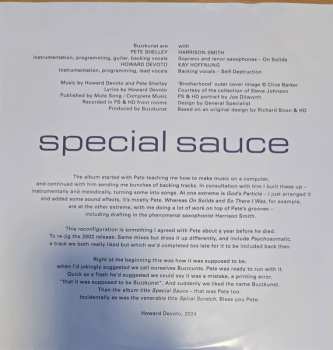 2LP Buzzkunst: Special Sauce / Designoid 628274