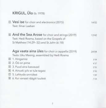 SACD Ülo Krigul: liquid turns 601279