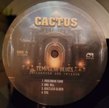 2LP Cactus: Temple of Blues: Influences and Friends 653236