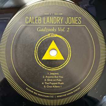 LP Caleb Landry Jones: Gadzooks Vol. 2 582619