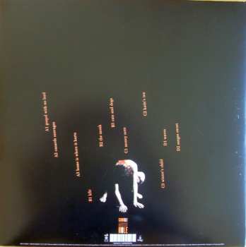 2LP/CD Camille: Music Hole 645814