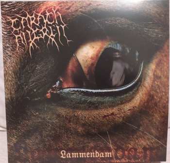 2LP Carach Angren: Lammendam CLR | LTD 579937