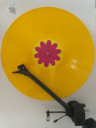 LP Caribou: Honey CLR | LTD 628785