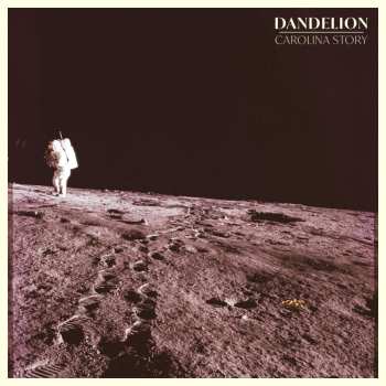 CD Carolina Story: Dandelion 534812