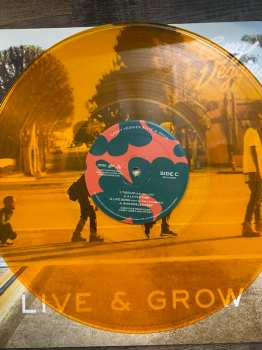 2LP Casey Veggies: Live & Grow CLR | LTD 593688