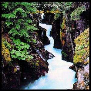 CD Cat Stevens: Back To Earth 597886