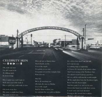 CD Hole: Celebrity Skin 6636