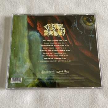 CD Celestial Sanctuary: Soul Diminished 629055