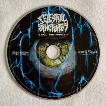 CD Celestial Sanctuary: Soul Diminished 629055