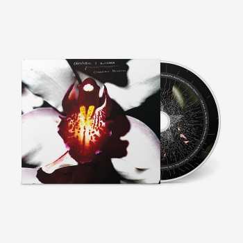 CD David Lynch: Cellophane Memories 563735