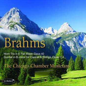 CD Johannes Brahms: Brahms 545786