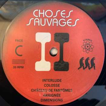 2LP Choses Sauvages: Choses Sauvages II 608264