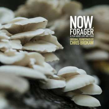 Album Chris Brokaw: Now, Forager (Original Soundtrack)