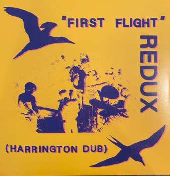 Album Chris Forsyth: First Flight Redux (Harrington Dub)