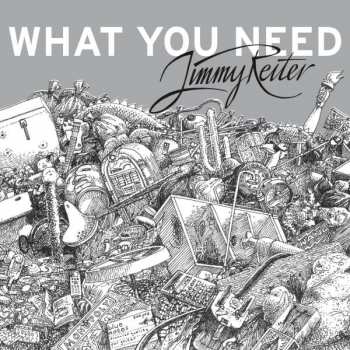 CD Christoph "Jimmy" Reiter: What You Need 182872