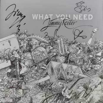 LP Christoph "Jimmy" Reiter: What You Need 502635