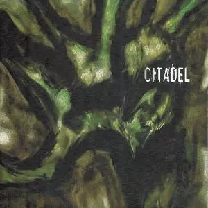 Citadel: Pluies Acides