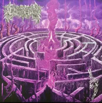 LP Civerous: Maze Envy CLR | LTD 548241