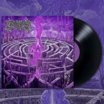 LP Civerous: Maze Envy LTD 548249