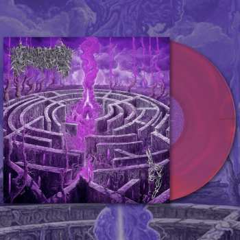 LP Civerous: Maze Envy CLR | LTD 548241