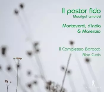 Il Pastor Fido - Madrigali Amorosi