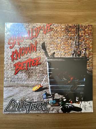 LP Collateral: Should’ve Known Better  LTD 596117