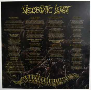 LP Consumption: Necrotic Lust 564820