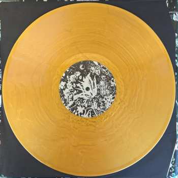 2LP Converge: The Dusk In Us CLR | DLX 584658