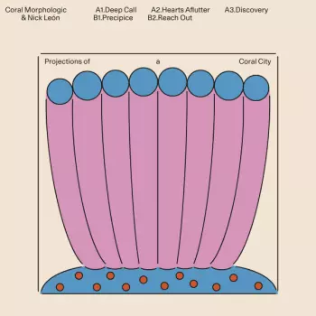 Projections Of A Coral City