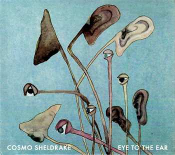 Album Cosmo Sheldrake: Eye To The Ear