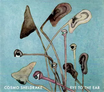 Cosmo Sheldrake: Eye To The Ear