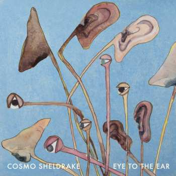 2LP Cosmo Sheldrake: Eye To The Ear 640547