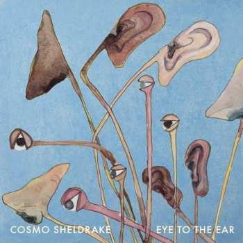 2LP Cosmo Sheldrake: Eye To The Ear LTD 580741