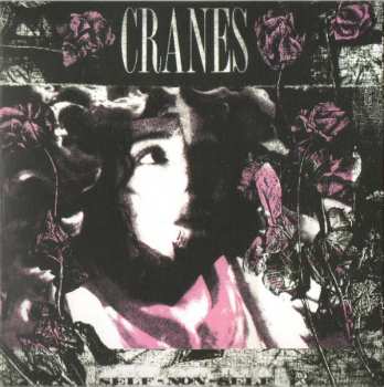 6CD/Box Set Cranes: Collected Works Volume 1 1989-1997 601875