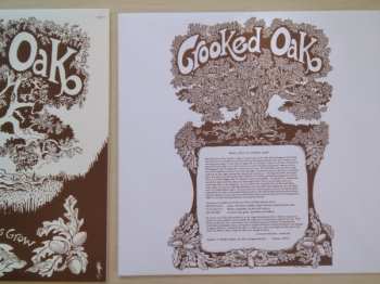 LP Crooked Oak: From Little Acorns Grow 148691