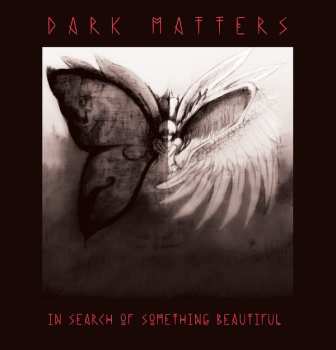 Dark Matters: In Search of Something Beautiful