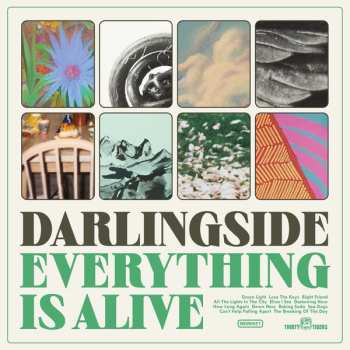 Album Darlingside: Everything Is Alive