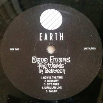 LP Dave Evans: The Words In Between 68843