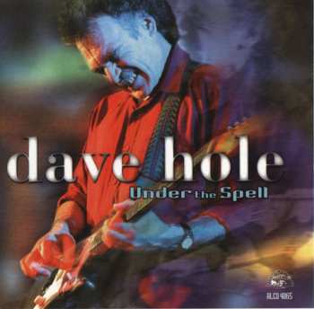 Album Dave Hole: Under The Spell