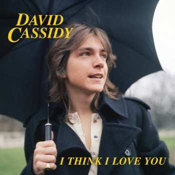 Album David Cassidy: I Think I Love You