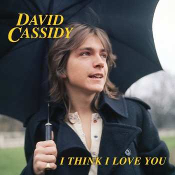 SP David Cassidy: I Think I Love You CLR | LTD 584696