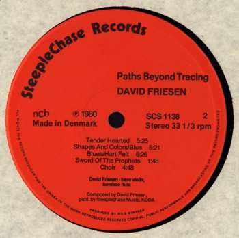 LP David Friesen: Paths Beyond Tracing 609544