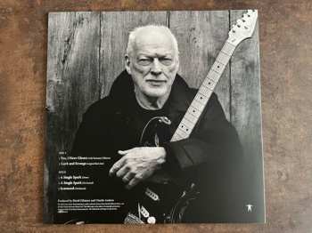 2LP/Box Set/Blu-ray David Gilmour: Luck and Strange DLX 615313